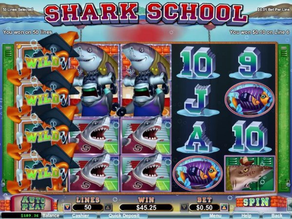 SharkSchool4