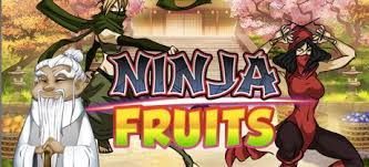 ninja fruits front