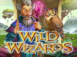wild-wizards1